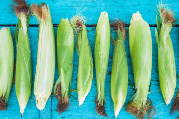 corn on the cob on a blue wooden background © tanacha