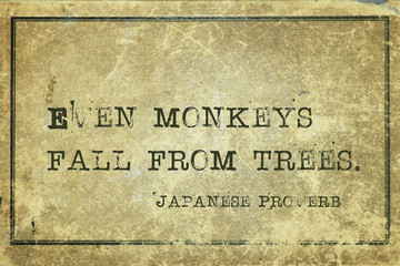 monkeys fall JP
