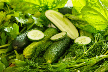 Green vegetables, plants and herbs