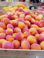 apricot market organic