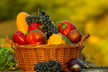 Autumn basket full of fruits and vegetables in the garden, in the light of the setting sun
