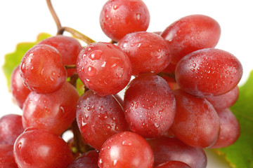 wet red grapes