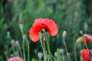 Такая любовь