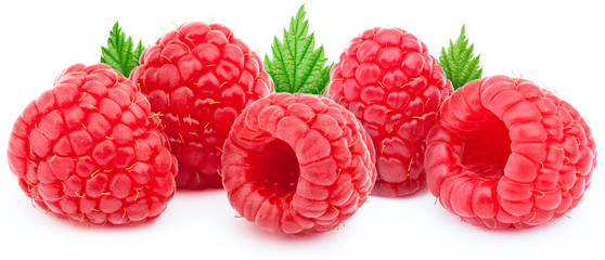 Five ripe raspberries in a line with green leaves isolated on white background with clipping path