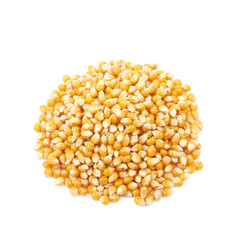 Pile of corn kernels isolated