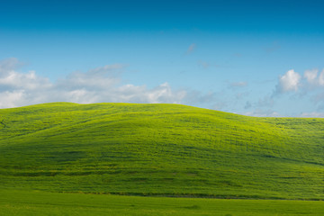 The green field Tuscany Italy