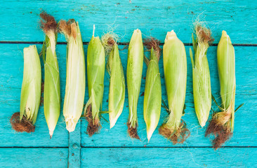 corn on the cob on a blue wooden background © tanacha