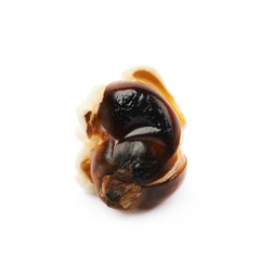 Semi-opened popcorn kernel isolated