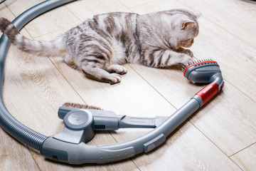 vacuum cleaner with a nozzle for cleaning spetsilno animals