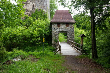 Ruins Haichenbach. Austria.