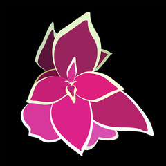 Bouquet Beautiful Pink Flower. Vector Illustration.