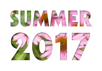 Summer 2017 caption from pink flowers photo on white background for calendar, flyer, poster, postcard etc. Summer colors.