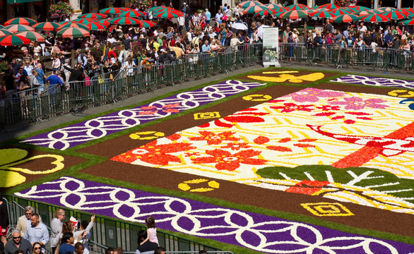 Tapis de Fleurs 2016 in Brüssel