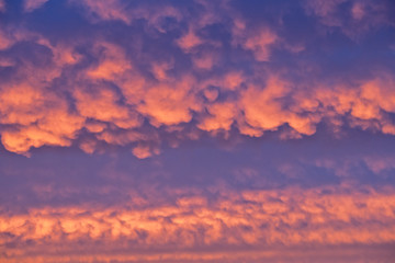 Naklejka na ściany i meble Scenic flaming clouds at sunset scarlet-pink.
