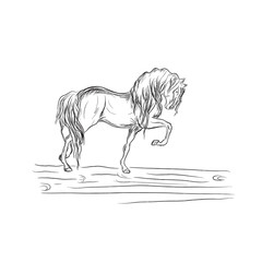 horse in sketch style, vector illustration