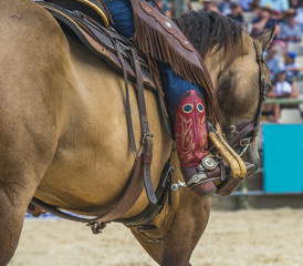 cowboy avec bottes sur un cheval