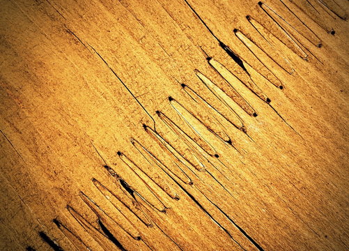 Comb Joining Wood