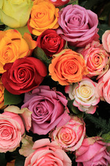 Multicolored wedding roses