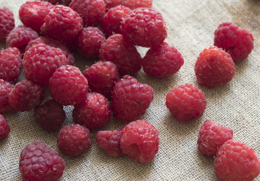 scattering of fresh raspberries on a fabric background