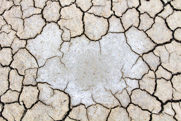 Picture concept and ideas about drought, the shell.