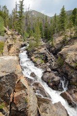 mountain river in colorado