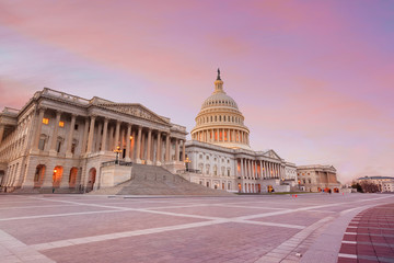 The United States Capitol building