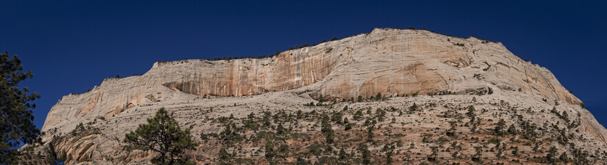 Fototapeta premium Rim of Zion Canyon from the West Rim Trail