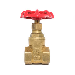Bronze gate valve