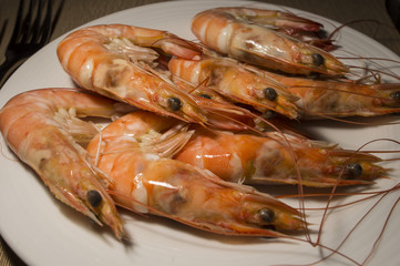 Cooked shrimp in plate