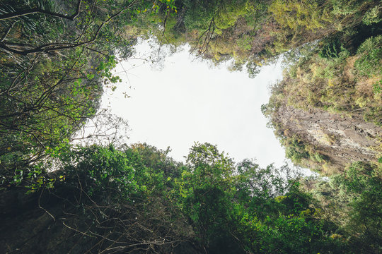 Fototapeta cliff hanging over a tropical forest in Thailand