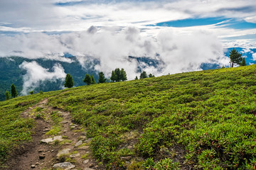Obraz premium Hiking trail in the mountains of Khamar-Daban