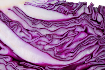 Obraz premium Purple cabbage