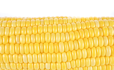 Corn isolated on white