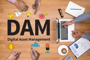 DAM Digital Asset Management Organization