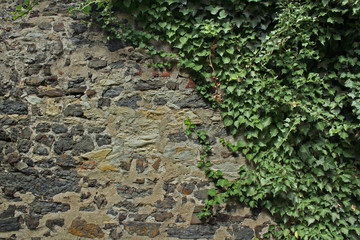 Old Wall with herbage