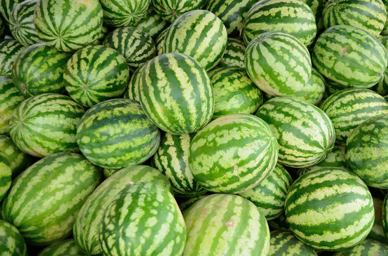 watermelon in the supermarket