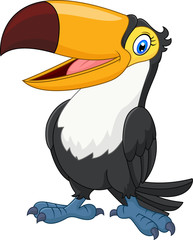 Cartoon funny toucan isolated on white background