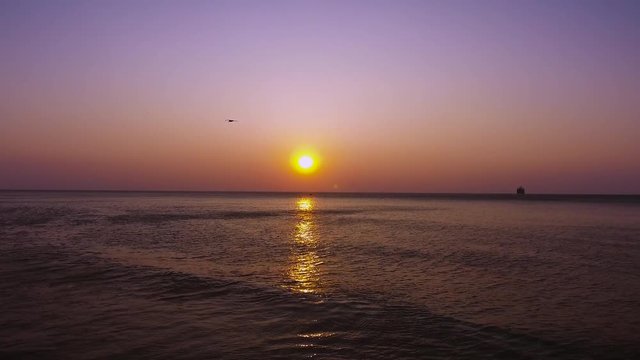 Flying bird over the waves and beautiful sea sunrise, video
