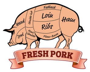 Pork or pig cuts. American US cuts of pork. Pork Cuts Barbecue vector illustration. Pork meat cuts. Butcher pork or pig cuts. 