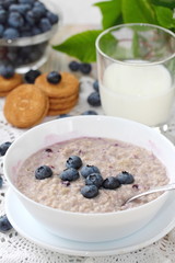 Healthy Breakfast. Oatmeal with blueberries.