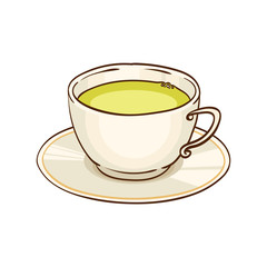 Cup of green tea with saucer. Vector hand drawn illustration, isolated on white