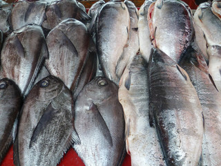 Reineta fish on a market