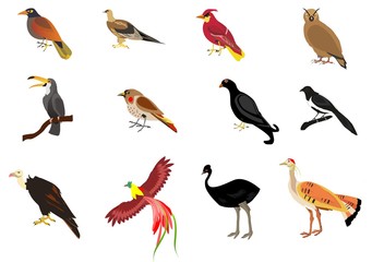Birds vector set isolated on white