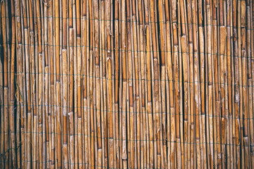 Dry reed straws fence as texture or background