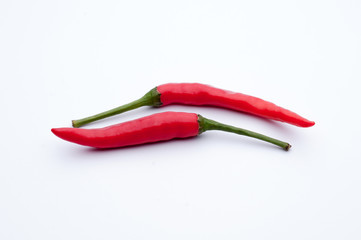 Two red chillies pepper on white background