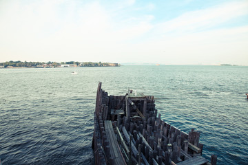 Manhattan pear, New York