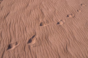 Fototapeta na wymiar Sand pattern and human traces on Baltic sea coast