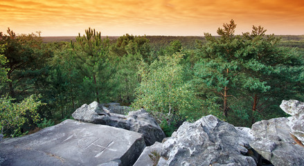 gravure sur rocher, parc naturel régional du gâtinais français