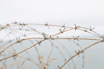 Wire of World War II