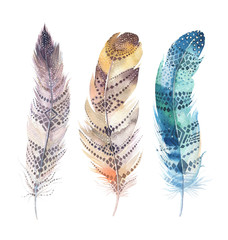 Hand drawn watercolor paintings vibrant feather set. Boho style 